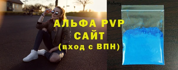 стаф Абинск