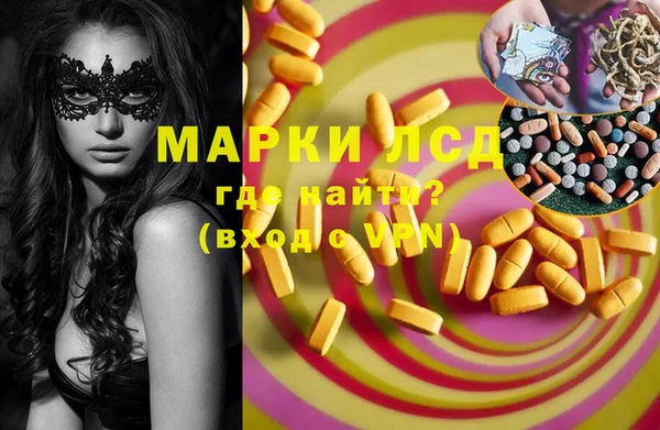 стаф Абинск