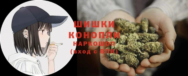 стаф Абинск