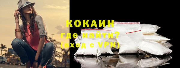 стаф Абинск