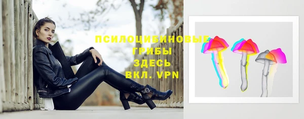 стаф Абинск