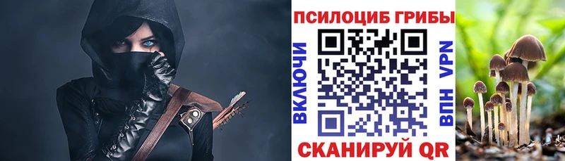 Галлюциногенные грибы Psilocybe  Ядрин 